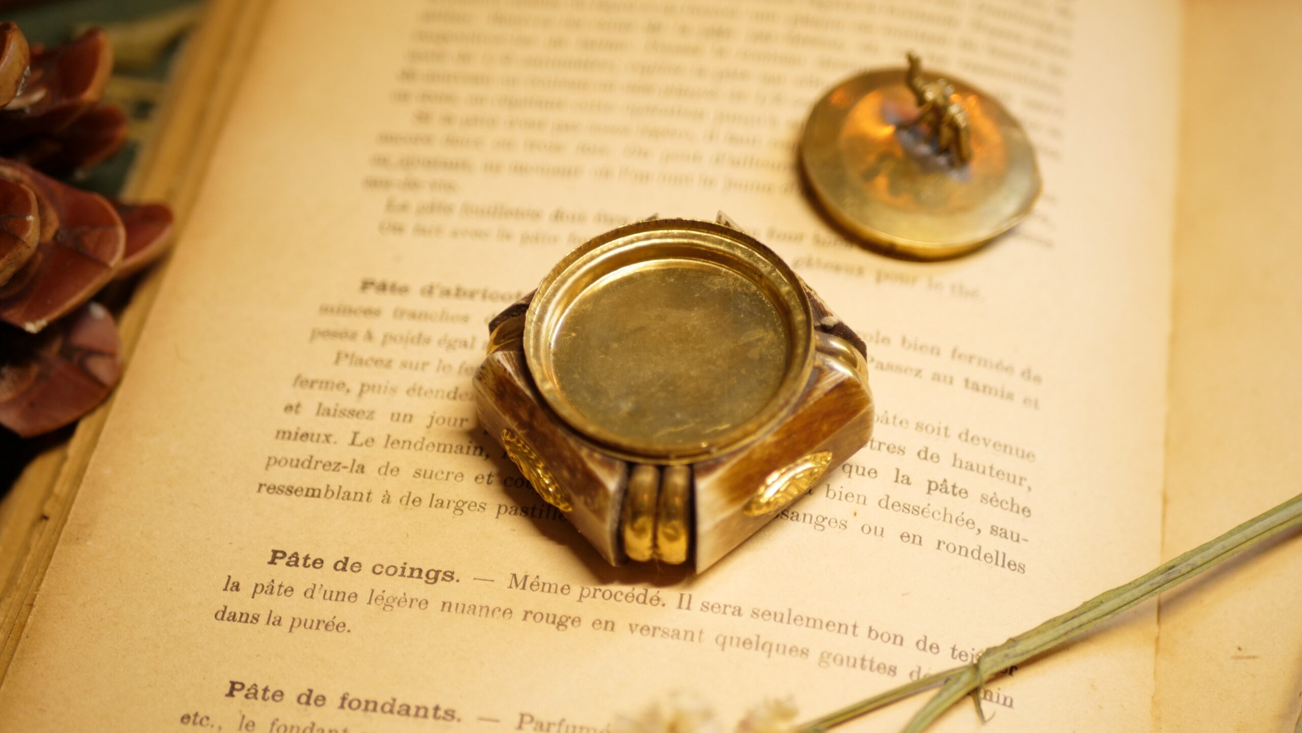 petite boîte éléphant petite boîte éléphant