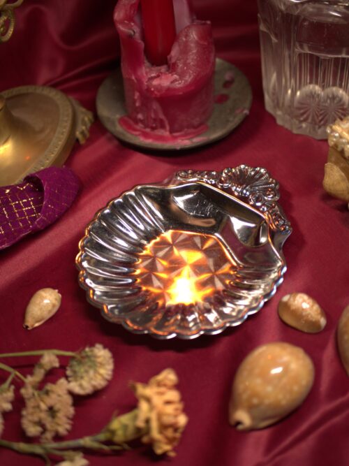 coupe coquille saint jacques inox