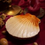 boîte en céramique coquille saint jacques