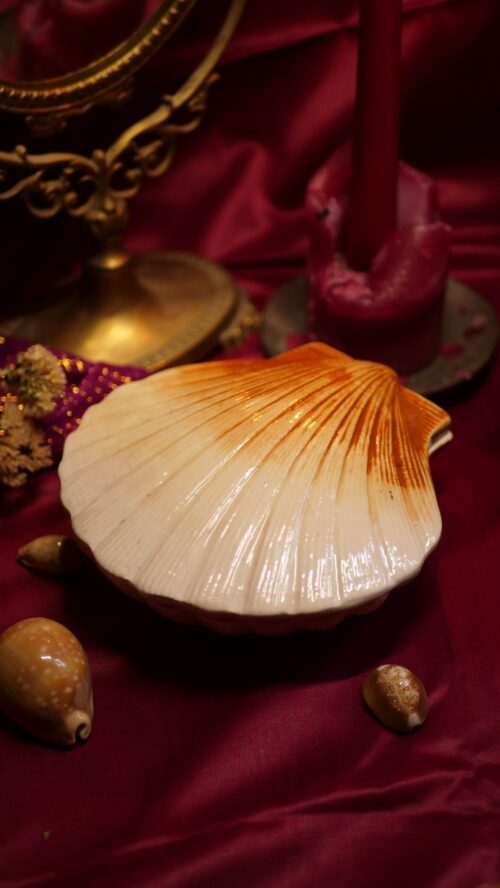 boîte en céramique coquille saint jacques